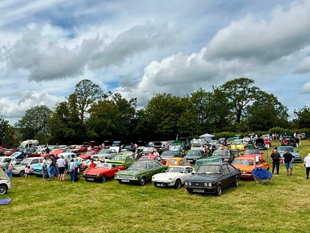 m cars
